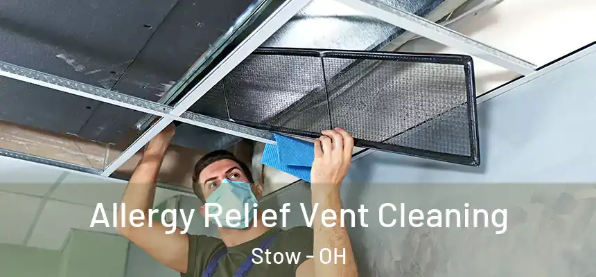  Allergy Relief Vent Cleaning Stow - OH