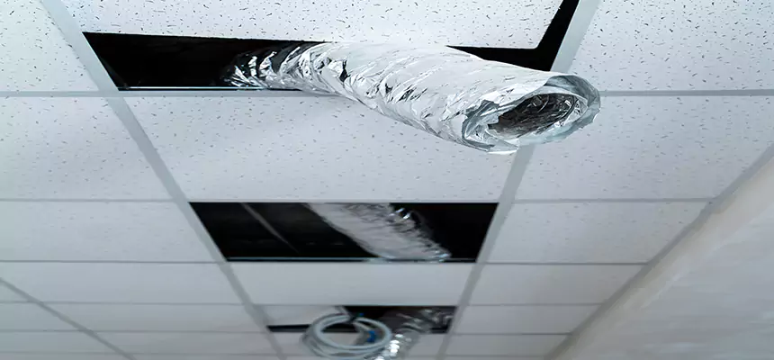 Our Air Duct Pet Hair Removal Services in Stow, OH