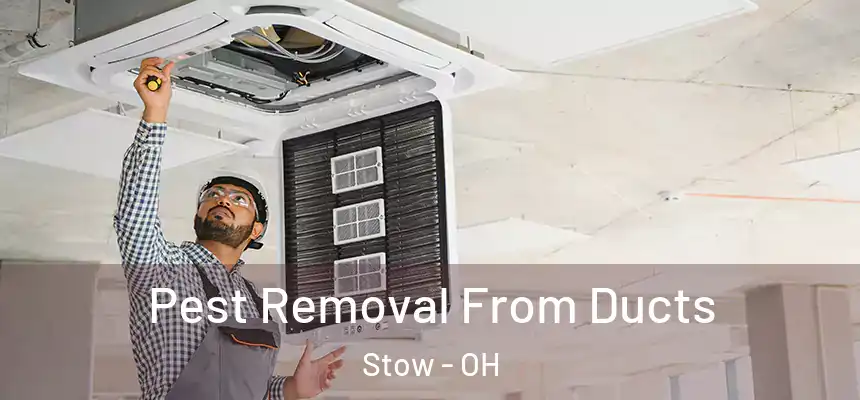 Pest Removal From Ducts Stow - OH