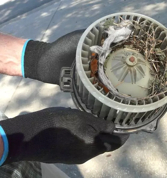 About Air Duct Mice Removal in Stow, OH