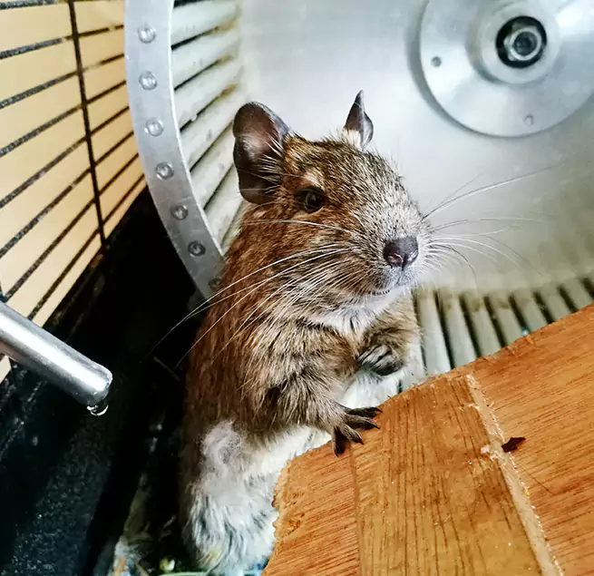 Why Homeowners & Businesses Trust Us Stow, OH